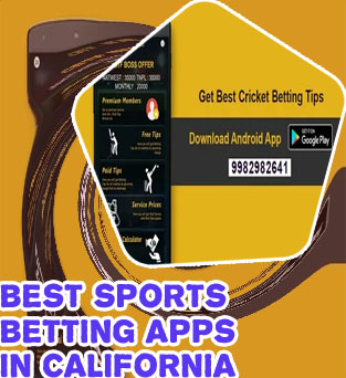 Best bet app for cricket