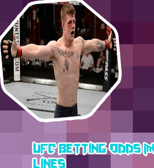Contender series betting odds