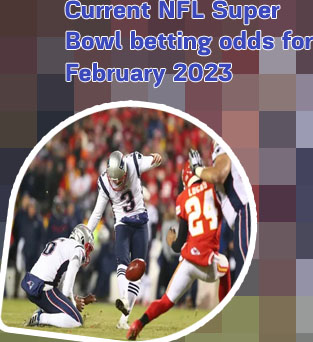 Nfl team odds for super bowl