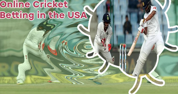 Online bookie cricket