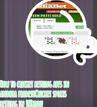 Online cricket betting best app