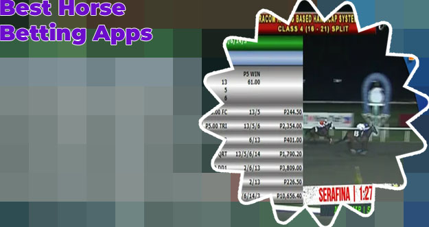 Race betting app