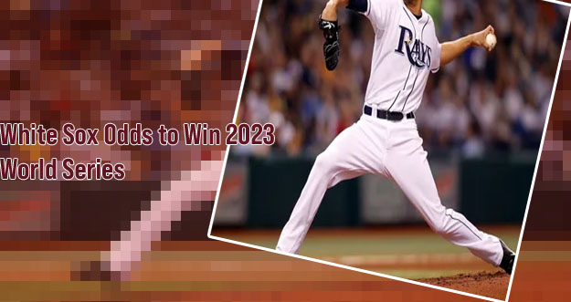 Tampa bay world series odds